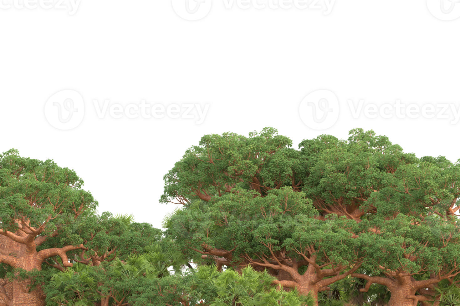 Realistic forest isolated on transparent background. 3d rendering - illustration png