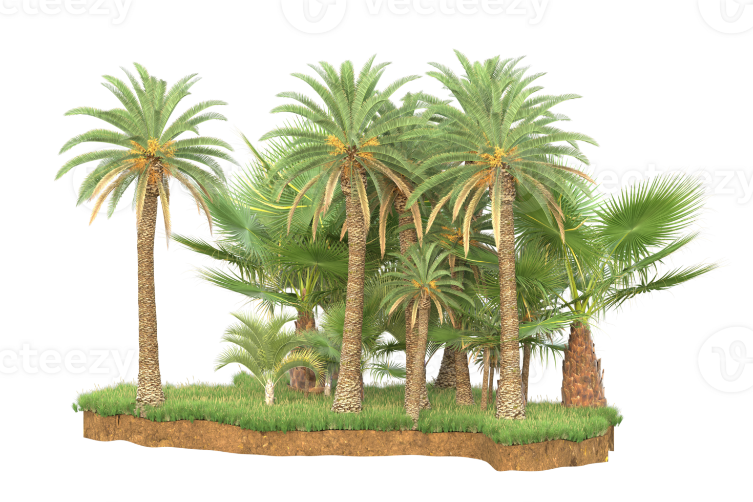 Realistic forest isolated on transparent background. 3d rendering - illustration png