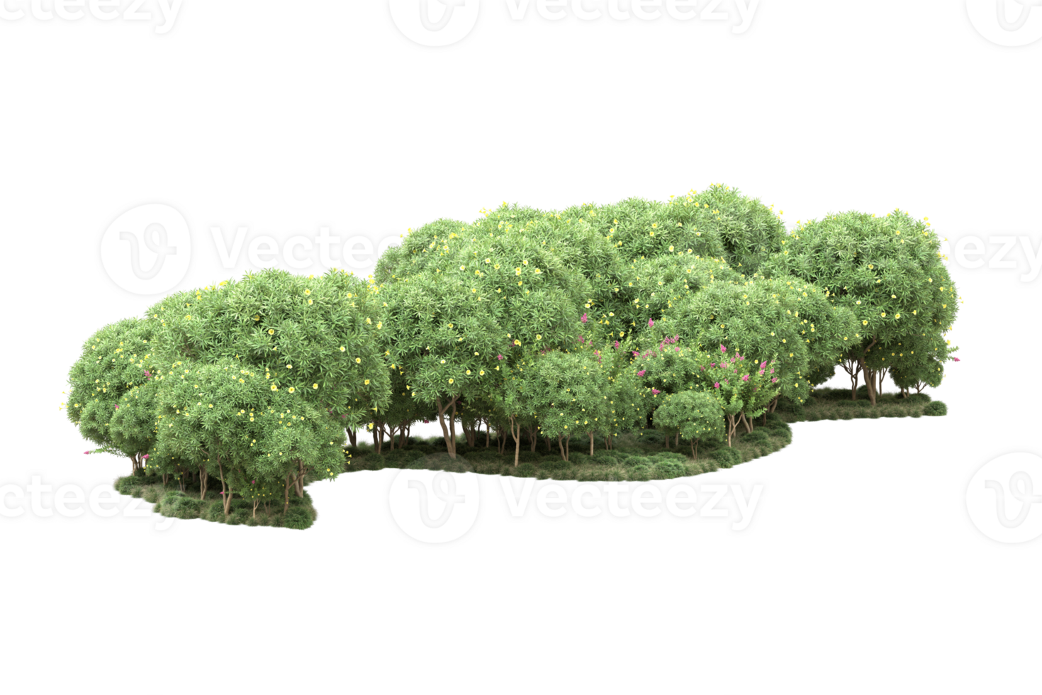 Realistic forest isolated on transparent background. 3d rendering - illustration png