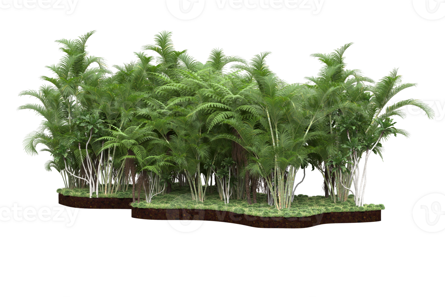 Realistic forest isolated on transparent background. 3d rendering - illustration png