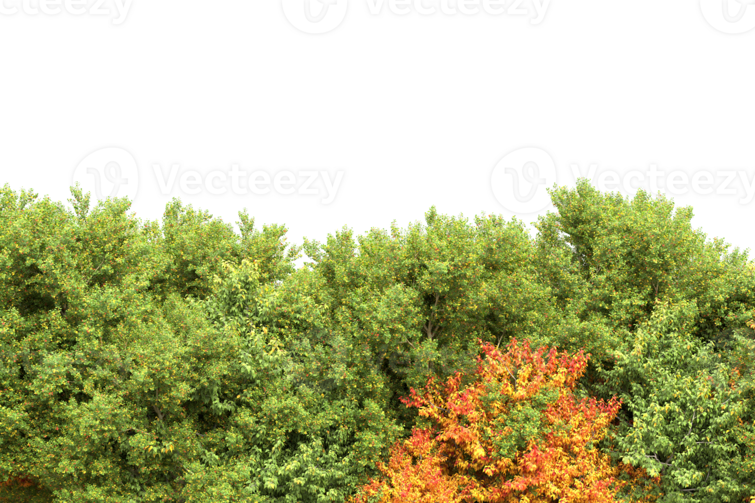 Realistic forest isolated on transparent background. 3d rendering - illustration png