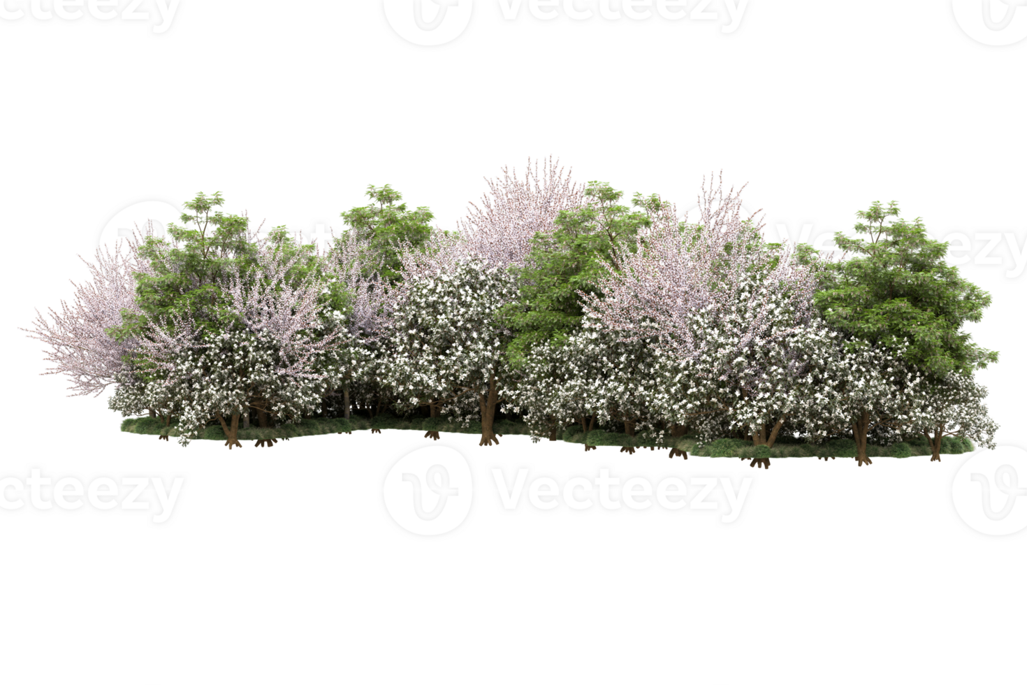 Realistic forest isolated on transparent background. 3d rendering - illustration png