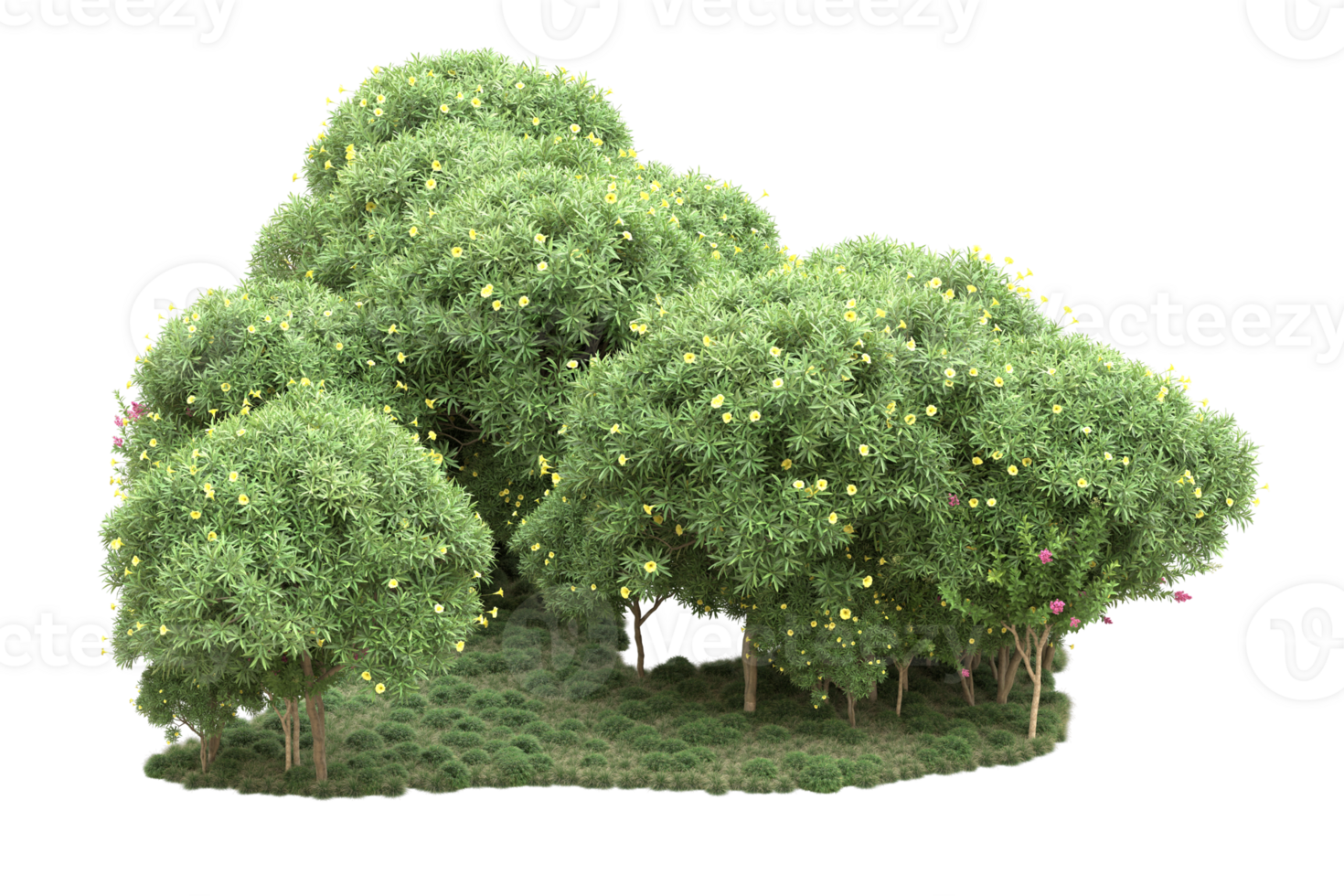 Realistic forest isolated on transparent background. 3d rendering - illustration png