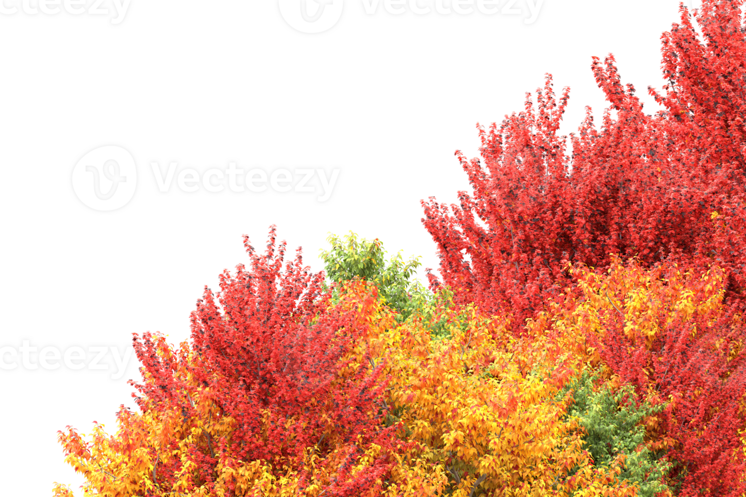 Realistic forest isolated on transparent background. 3d rendering - illustration png