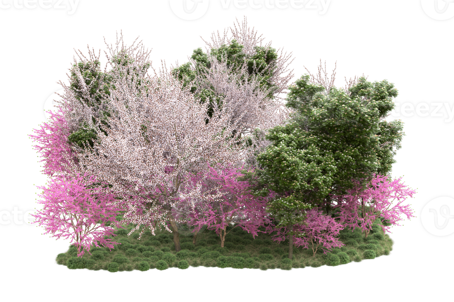 Realistic forest isolated on transparent background. 3d rendering - illustration png