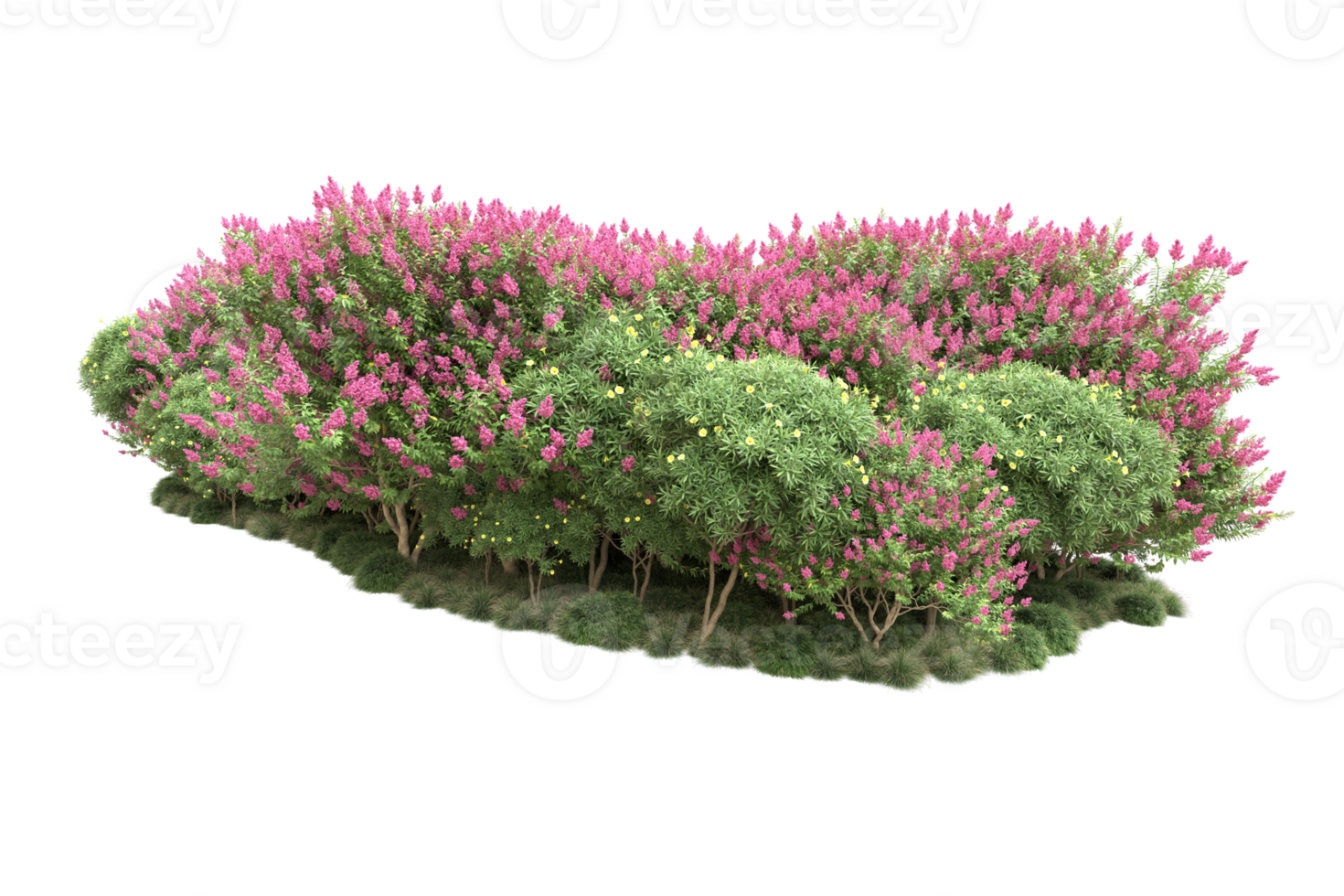Realistic forest isolated on transparent background. 3d rendering - illustration png