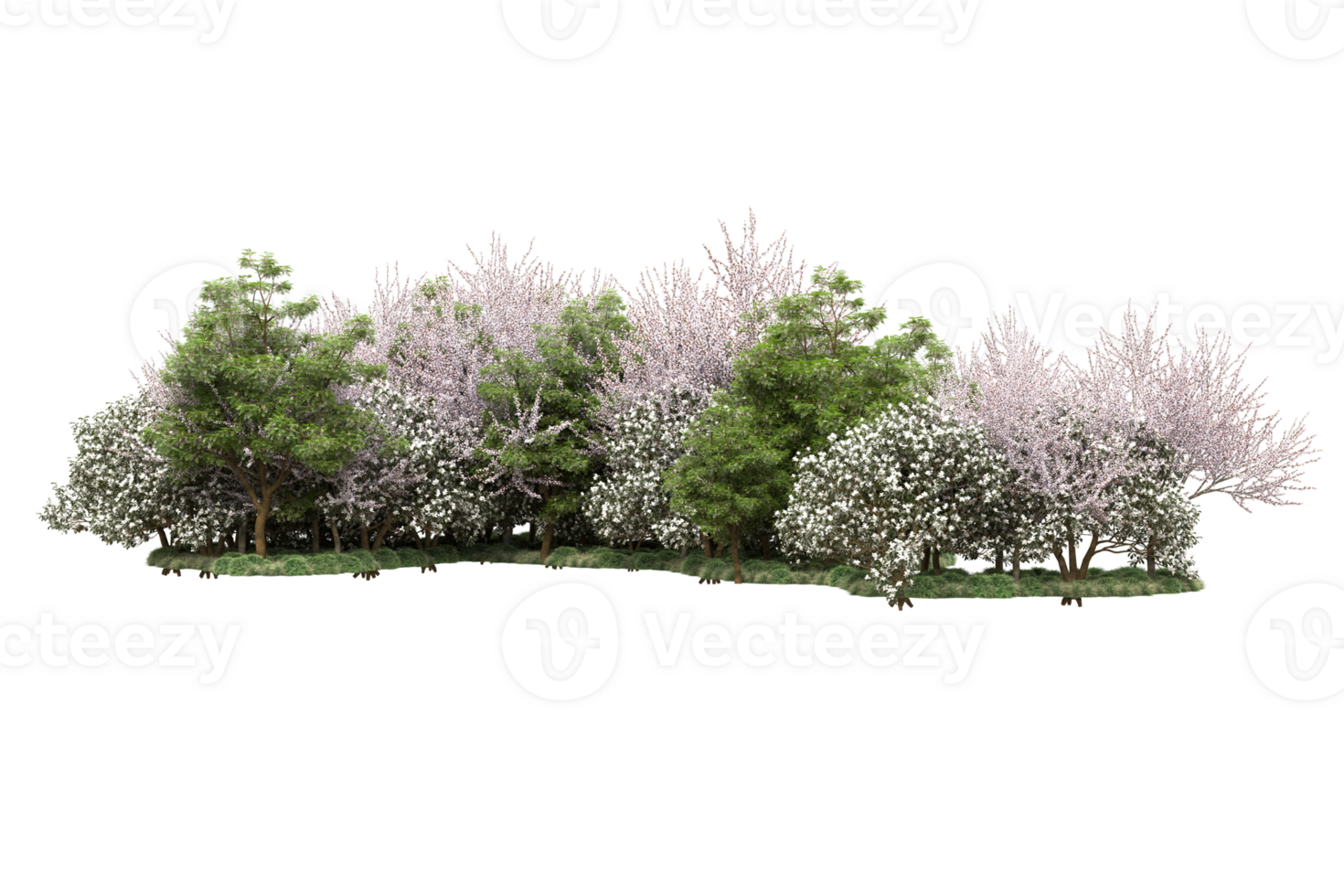 Realistic forest isolated on transparent background. 3d rendering - illustration png