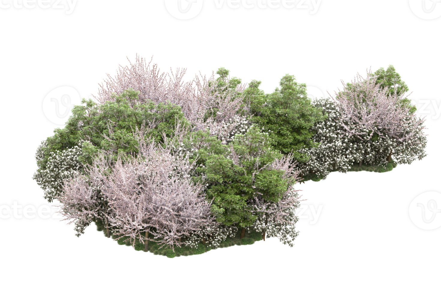 Realistic forest isolated on transparent background. 3d rendering - illustration png