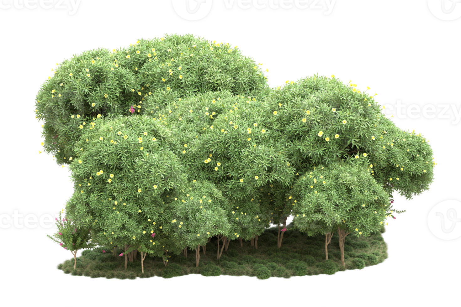 Realistic forest isolated on transparent background. 3d rendering - illustration png