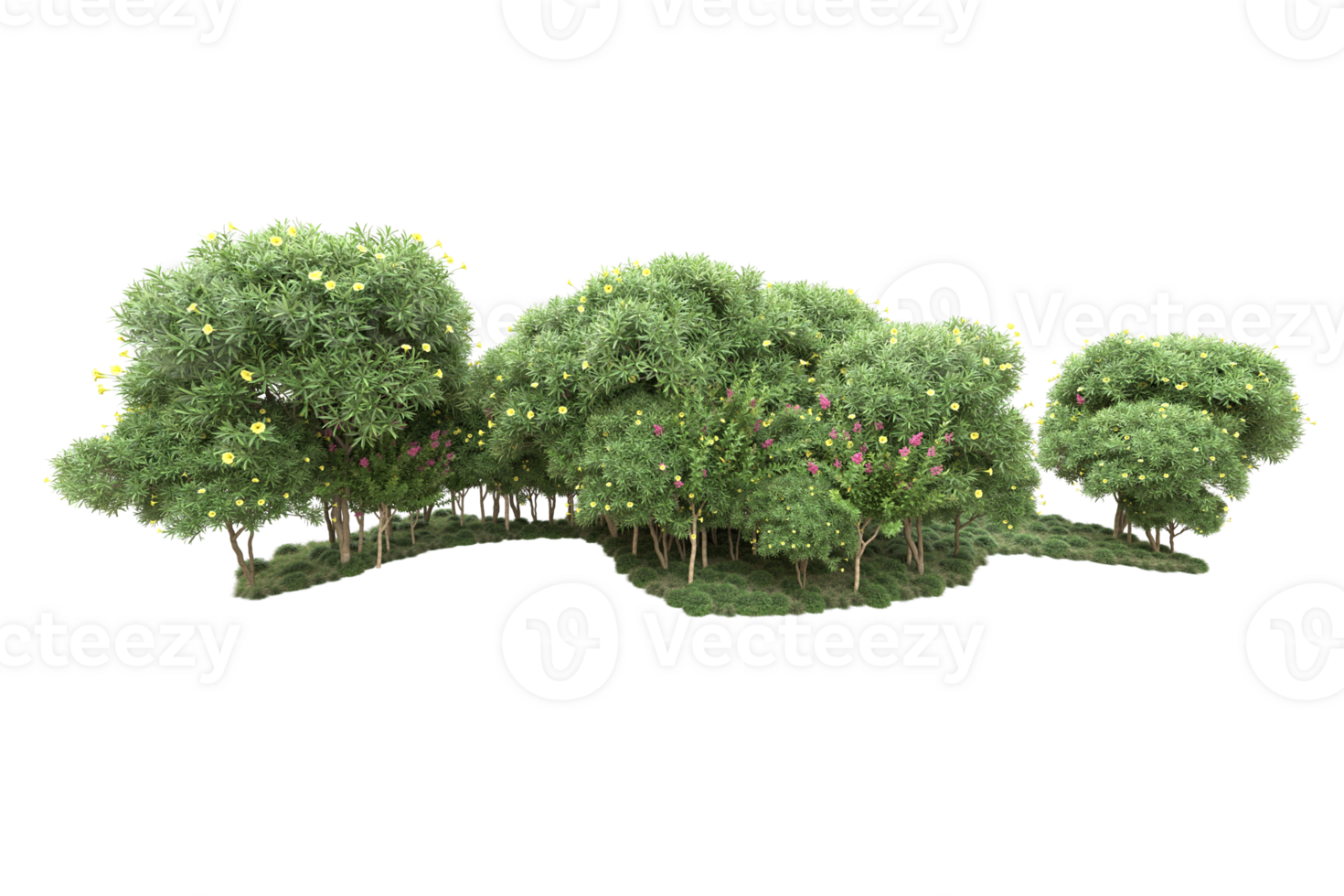 Realistic forest isolated on transparent background. 3d rendering - illustration png