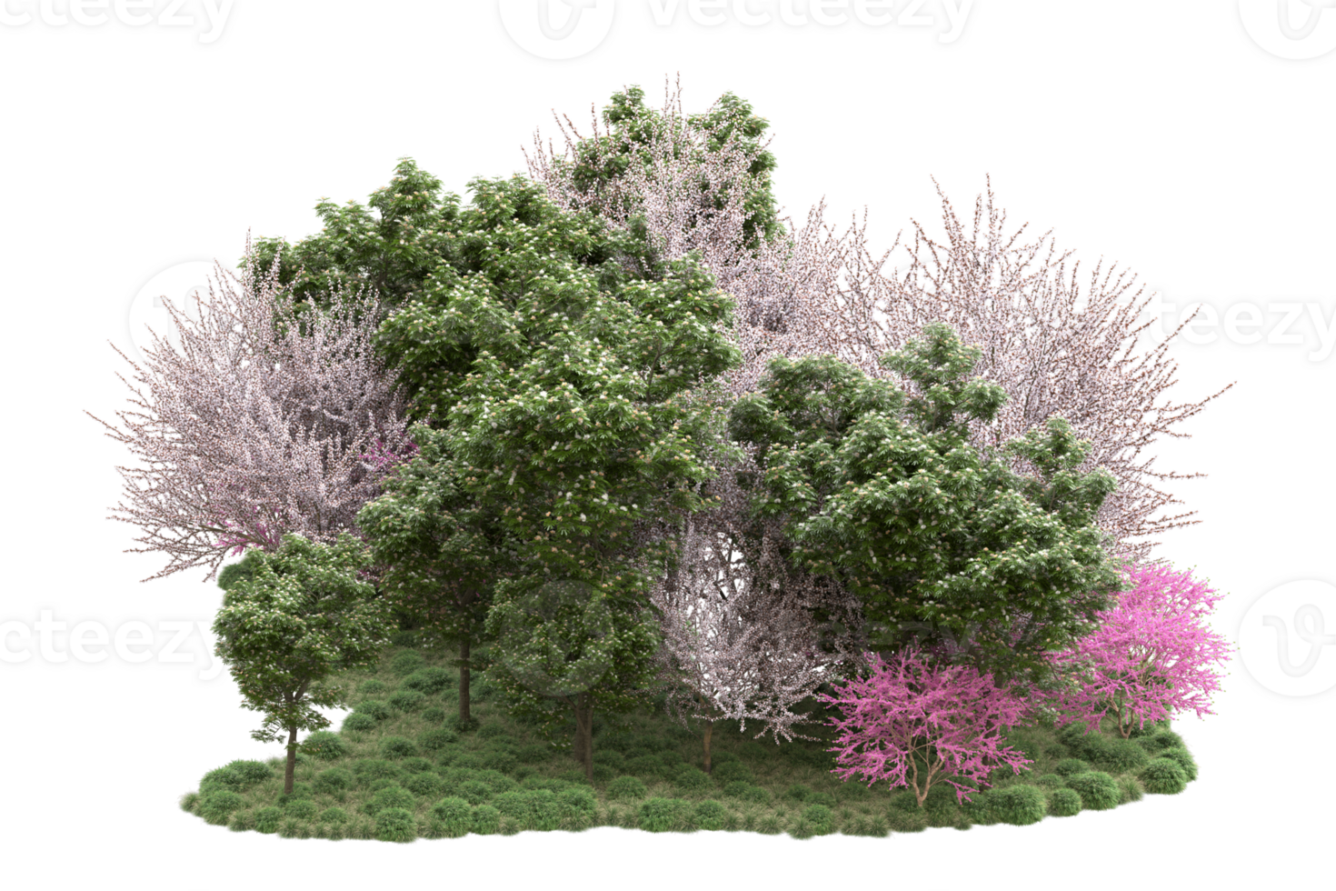 Realistic forest isolated on transparent background. 3d rendering - illustration png