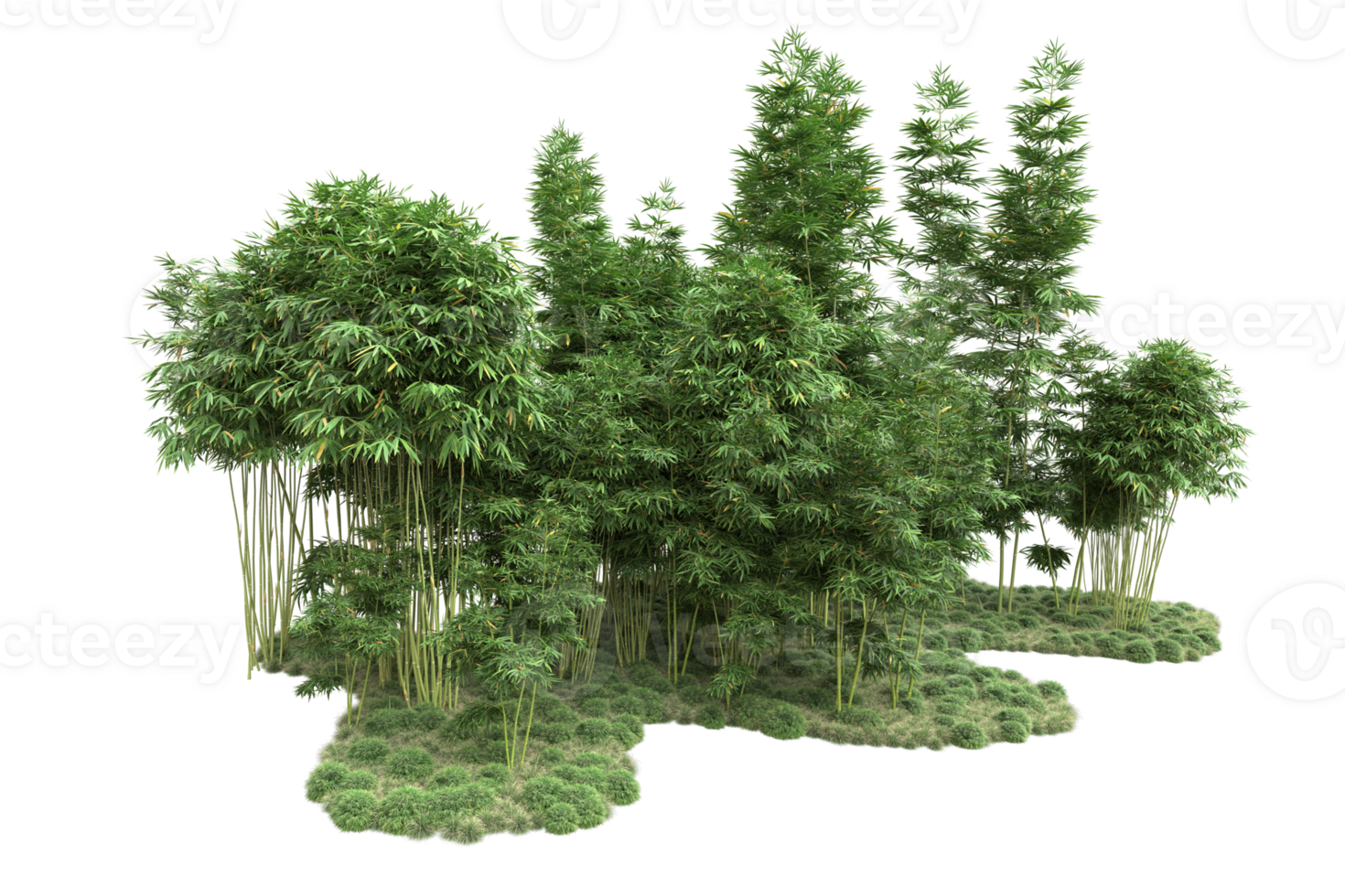 Realistic forest isolated on transparent background. 3d rendering - illustration png