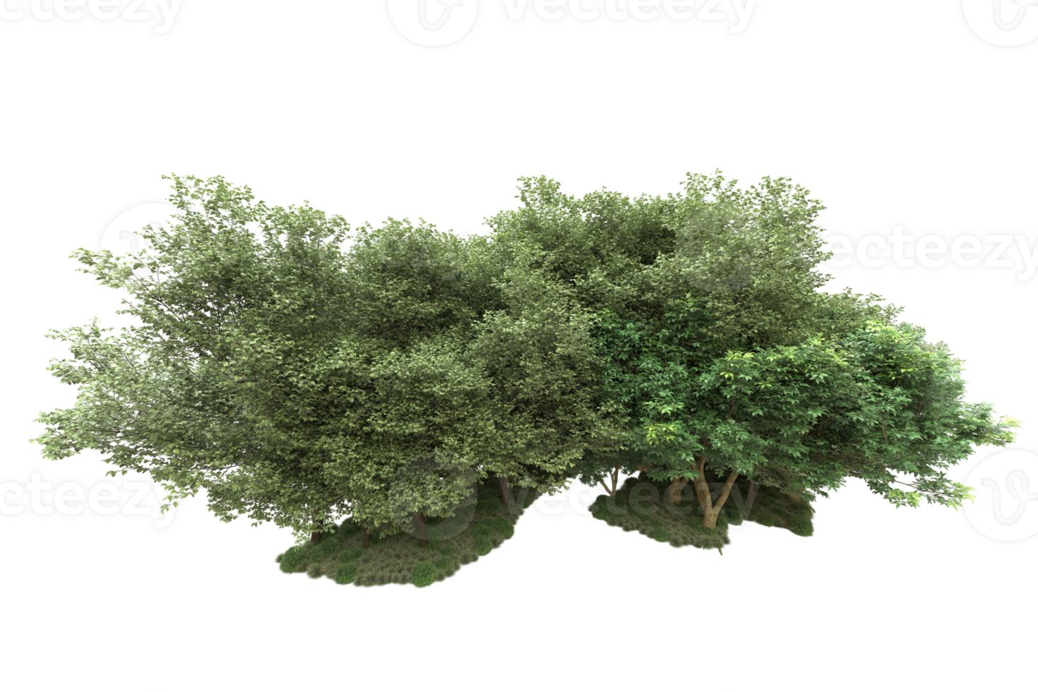Realistic forest isolated on transparent background. 3d rendering - illustration png
