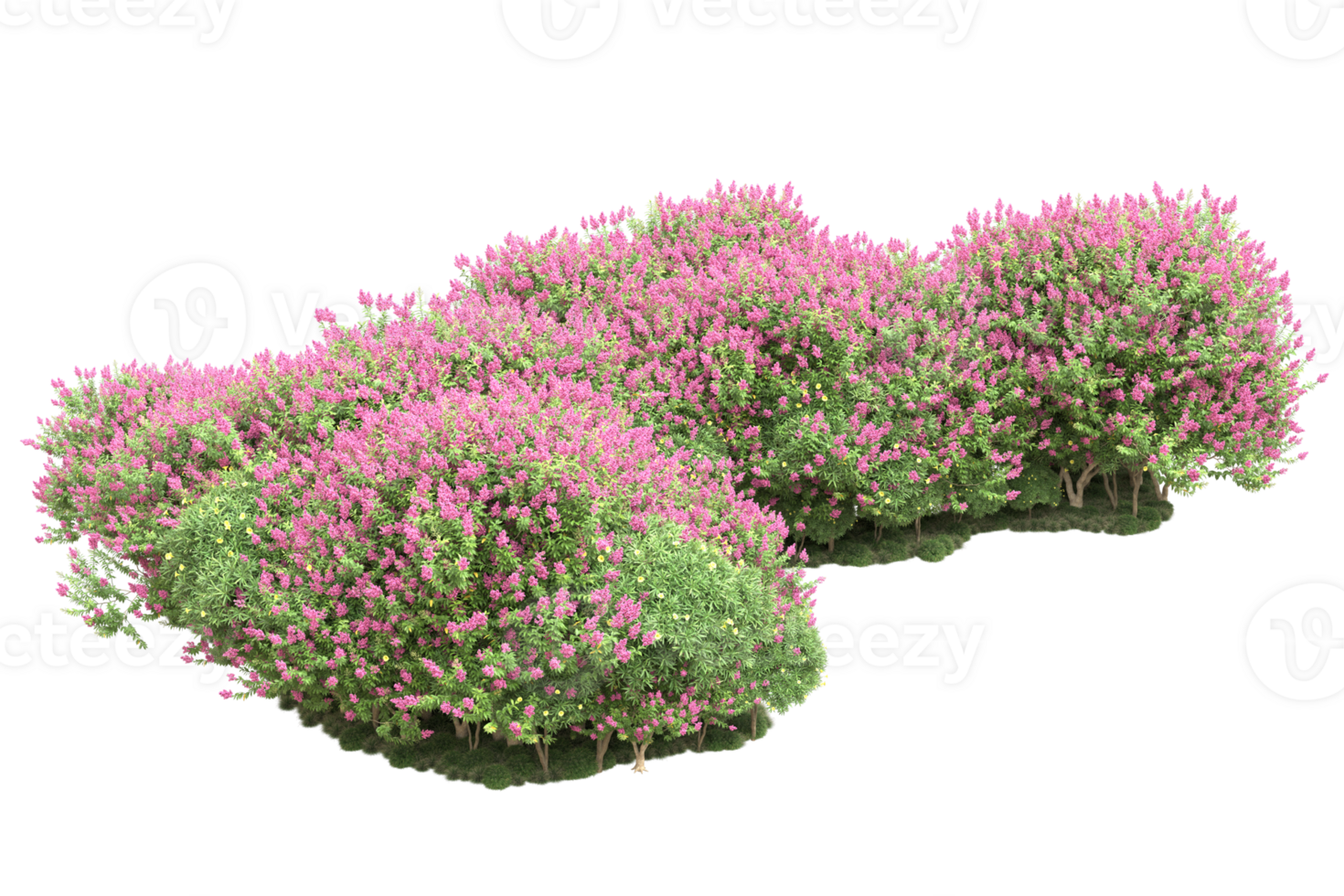 Realistic forest isolated on transparent background. 3d rendering - illustration png