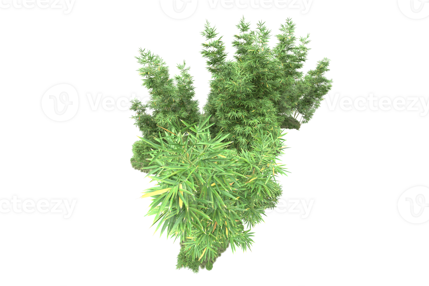 Realistic forest isolated on transparent background. 3d rendering - illustration png