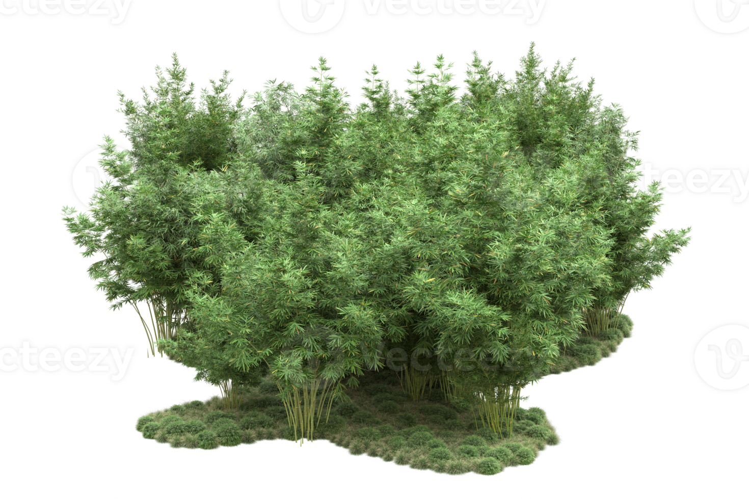 Realistic forest isolated on transparent background. 3d rendering - illustration png