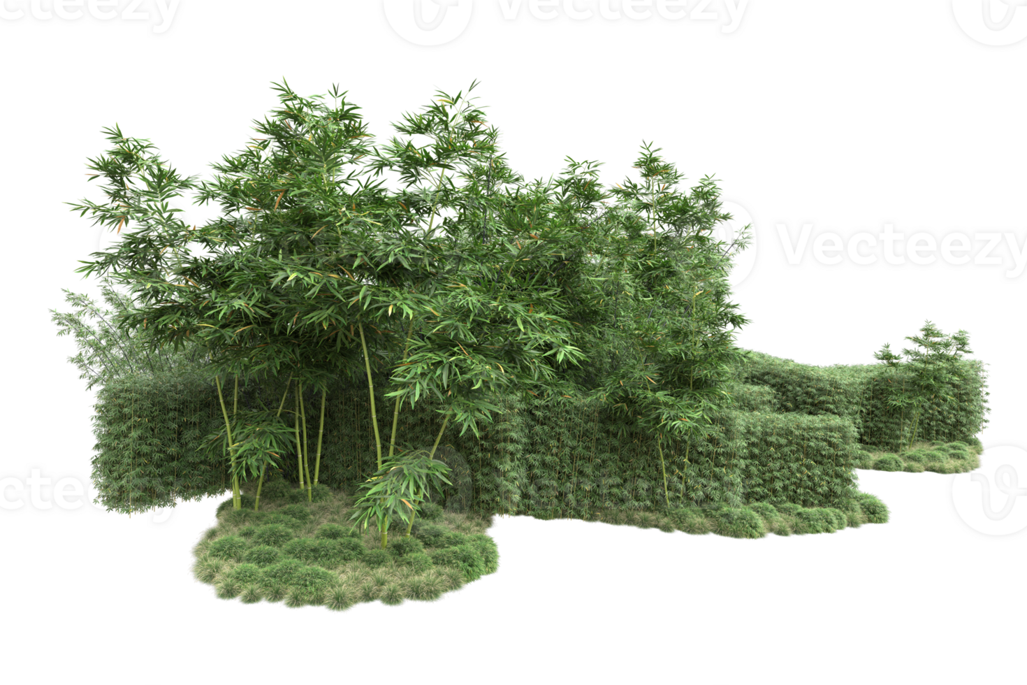 Realistic forest isolated on transparent background. 3d rendering - illustration png