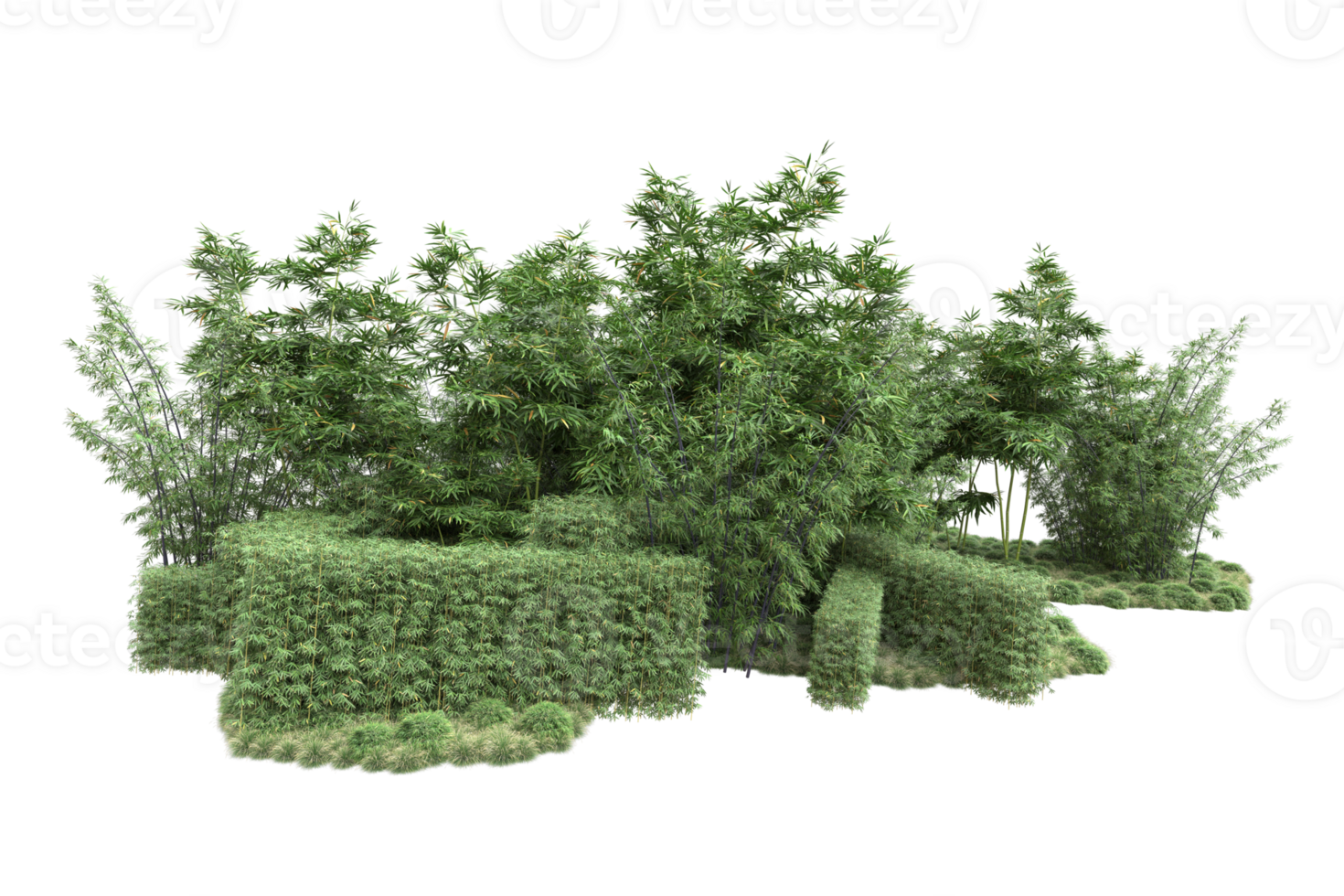 Realistic forest isolated on transparent background. 3d rendering - illustration png