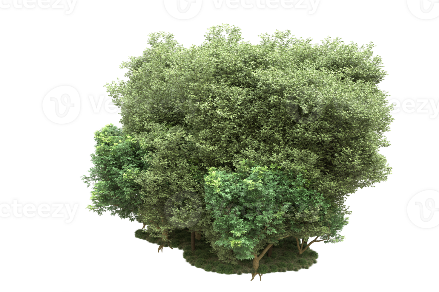 Realistic forest isolated on transparent background. 3d rendering - illustration png