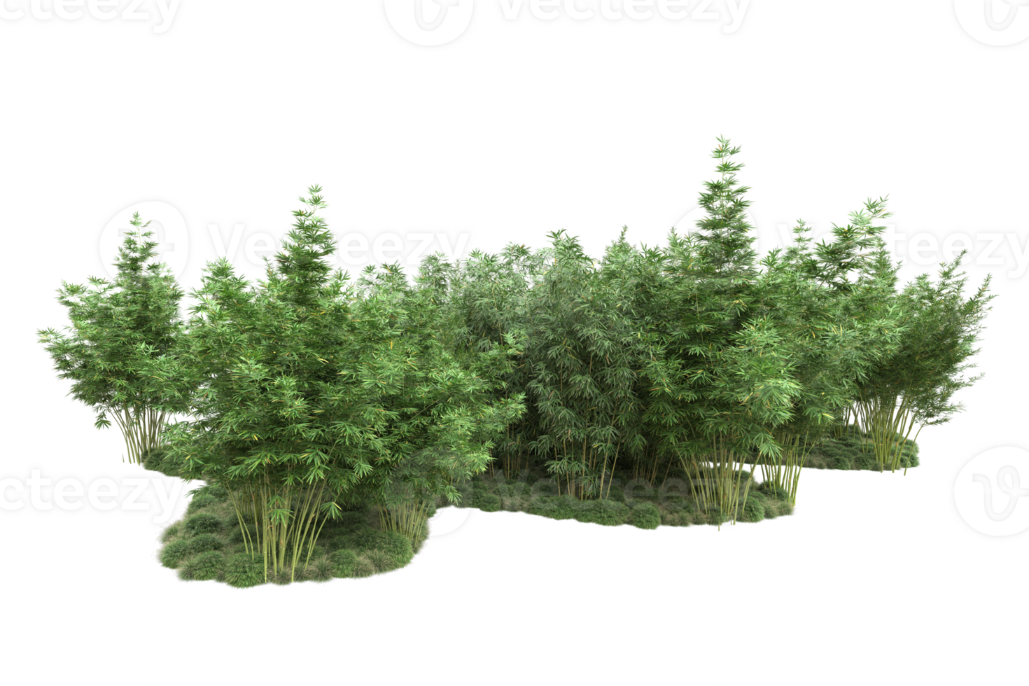Realistic forest isolated on transparent background. 3d rendering - illustration png
