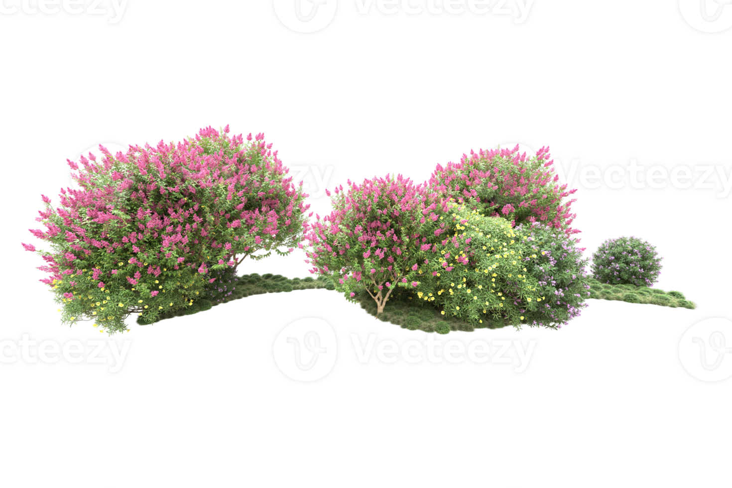 Realistic forest isolated on transparent background. 3d rendering - illustration png