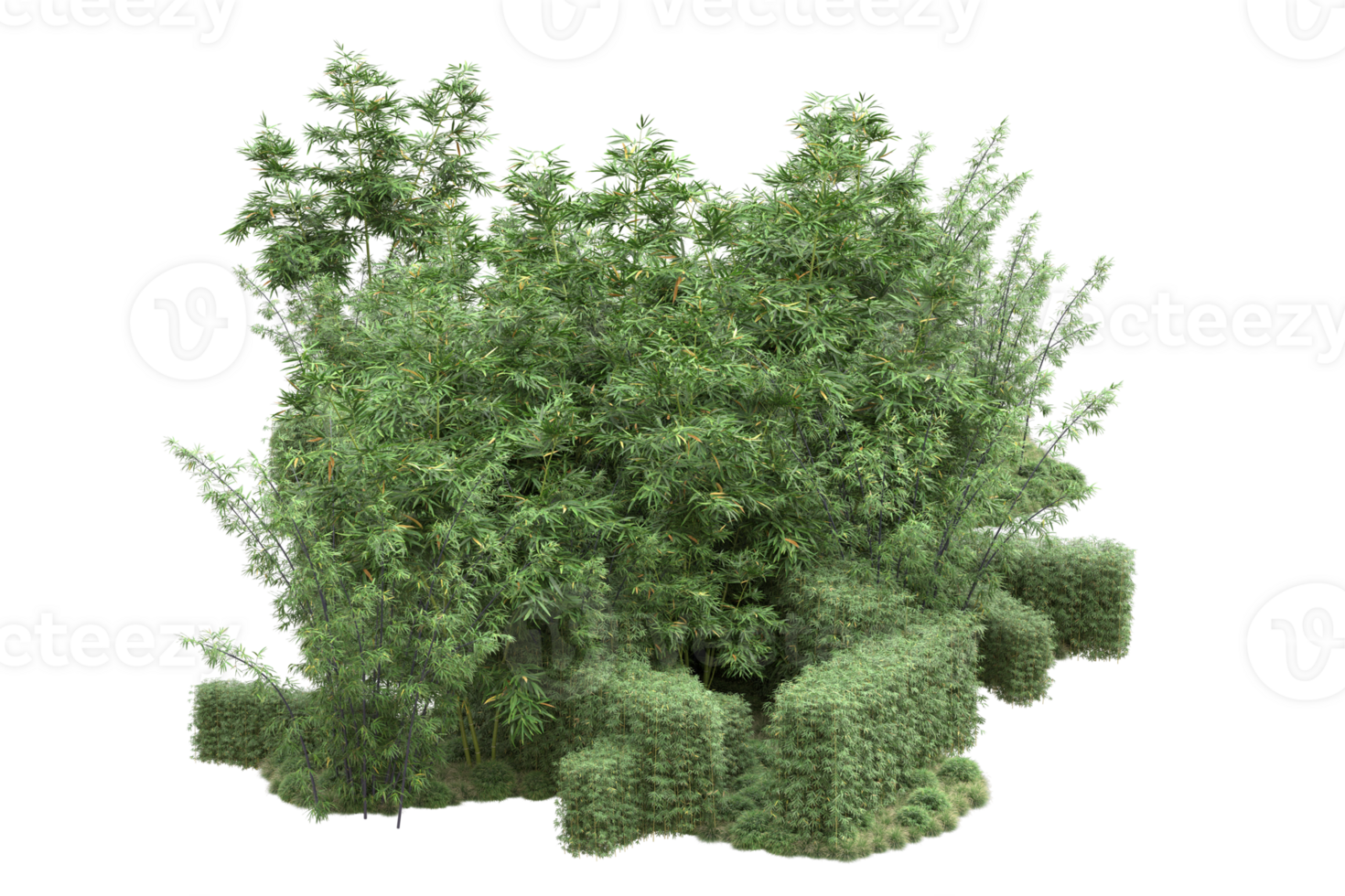 Realistic forest isolated on transparent background. 3d rendering - illustration png