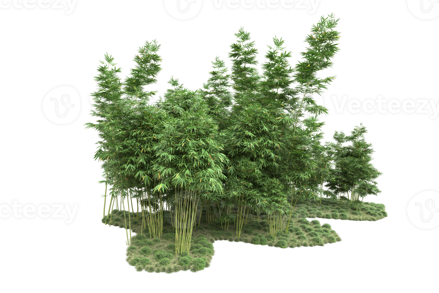 Realistic forest isolated on transparent background. 3d rendering - illustration png
