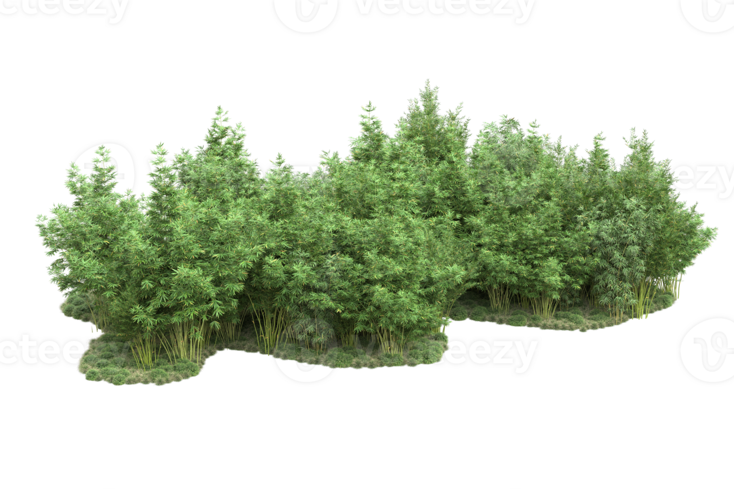 Realistic forest isolated on transparent background. 3d rendering - illustration png