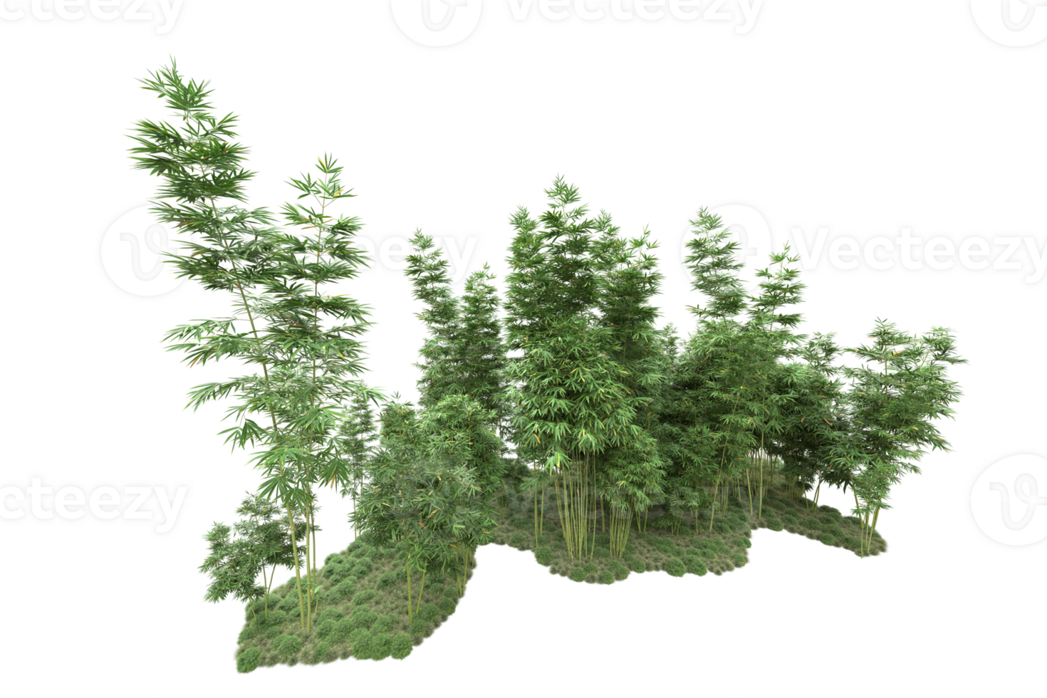 Realistic forest isolated on transparent background. 3d rendering - illustration png