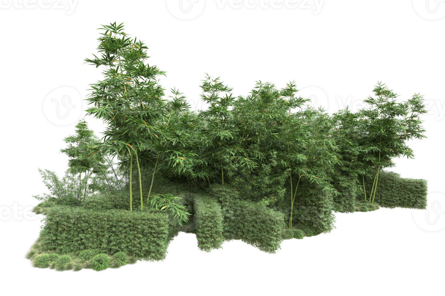 Realistic forest isolated on transparent background. 3d rendering - illustration png