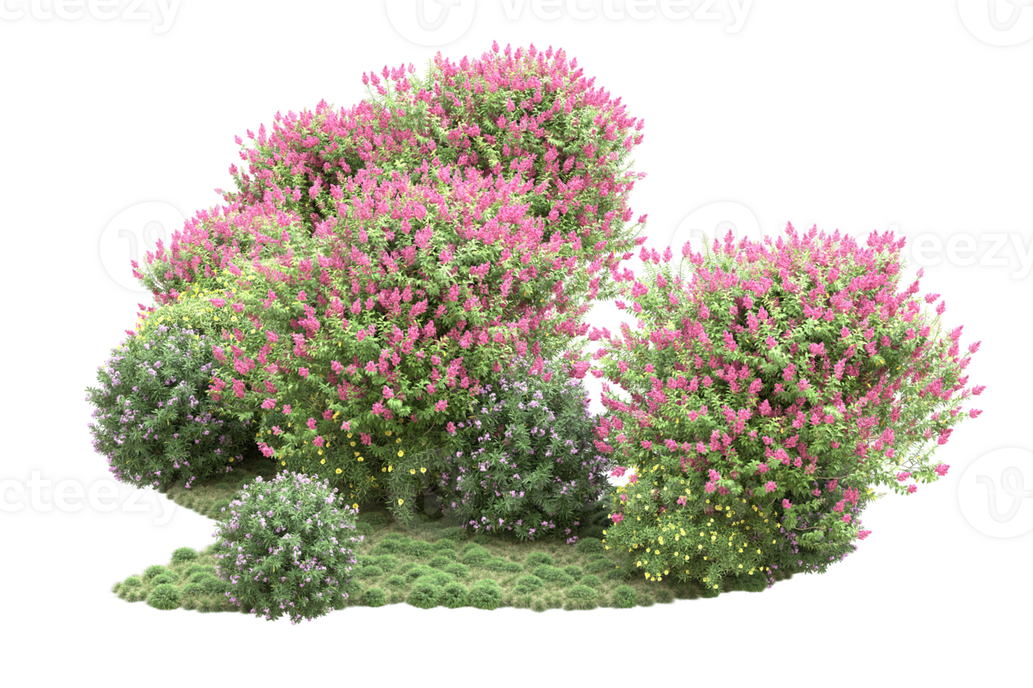 Realistic forest isolated on transparent background. 3d rendering - illustration png
