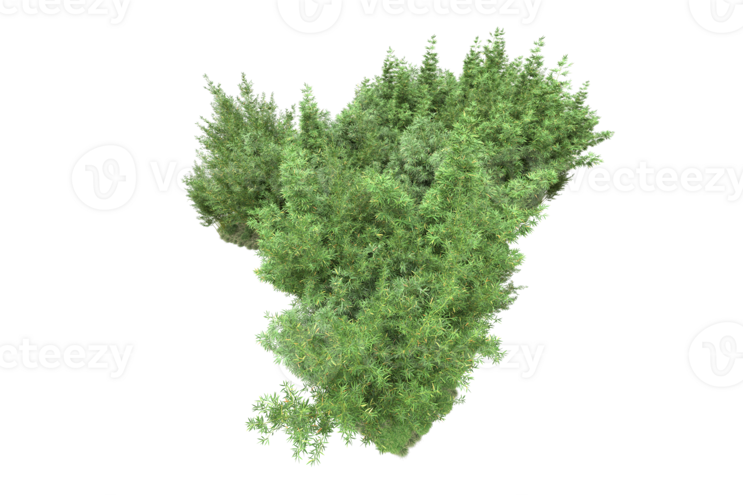 Realistic forest isolated on transparent background. 3d rendering - illustration png