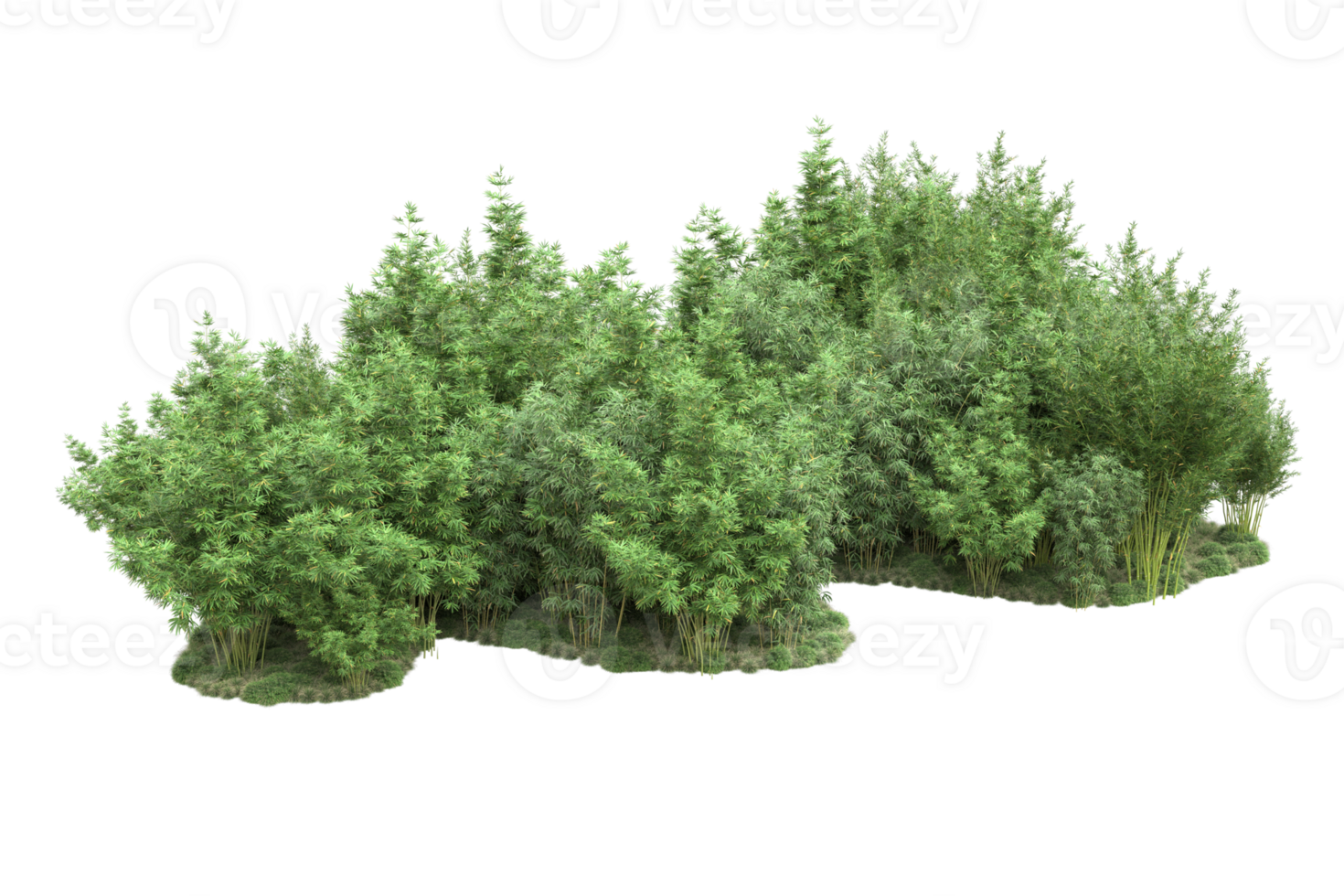 Realistic forest isolated on transparent background. 3d rendering - illustration png