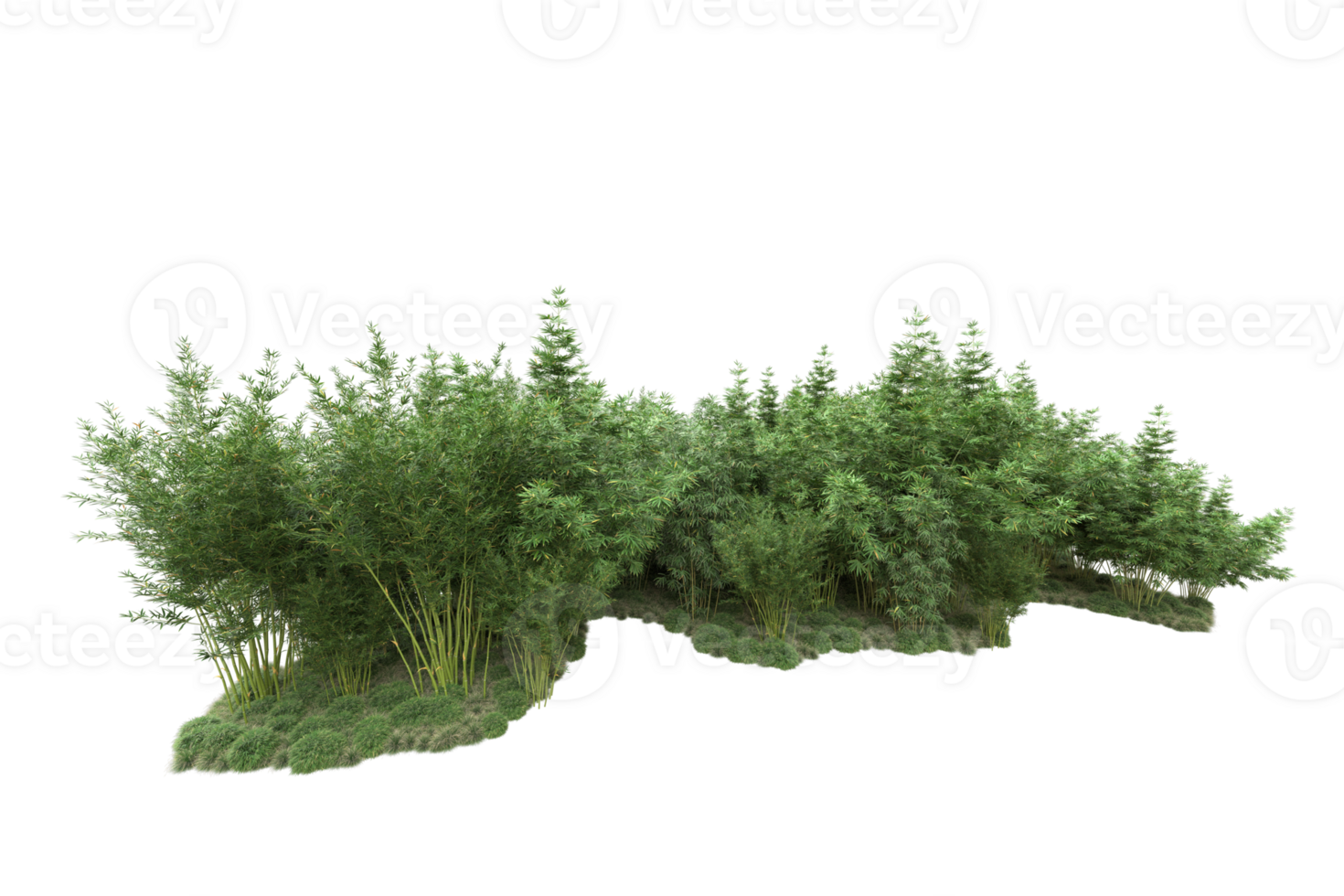 Realistic forest isolated on transparent background. 3d rendering - illustration png