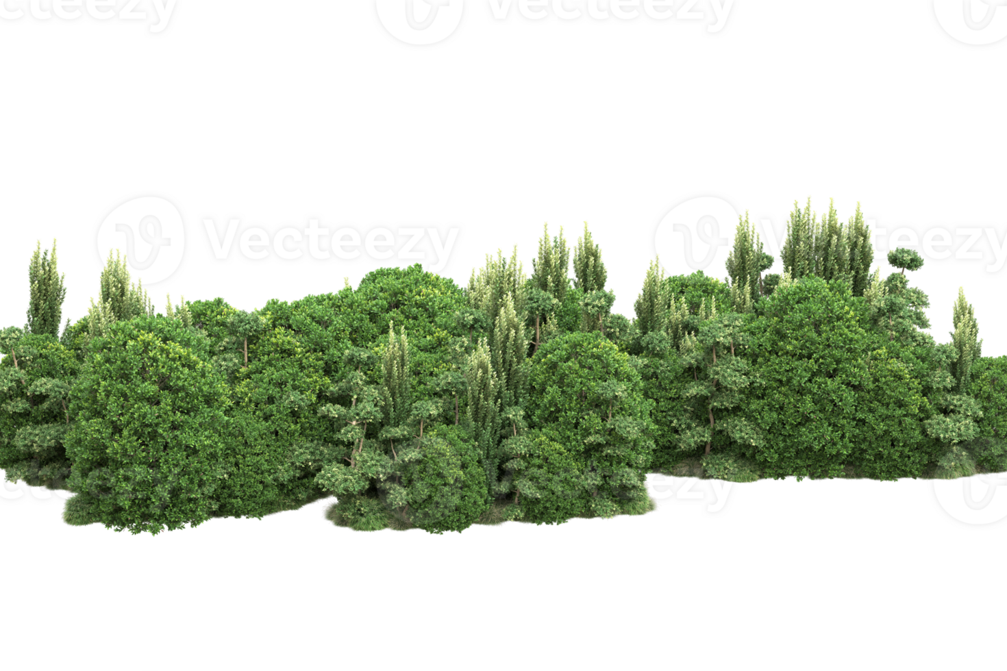Realistic forest isolated on transparent background. 3d rendering - illustration png