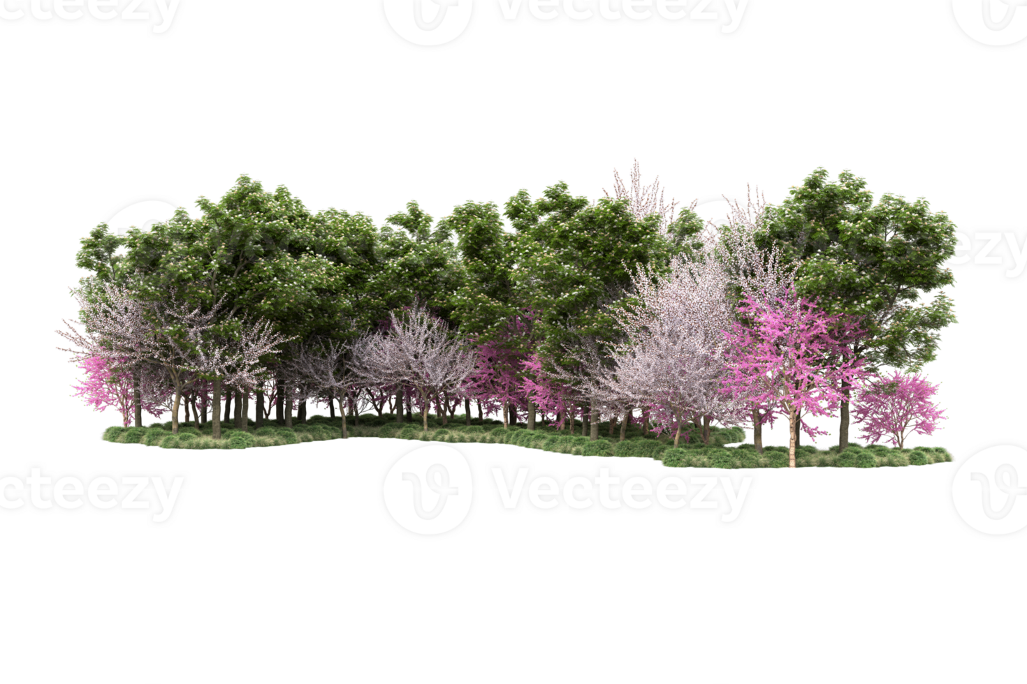 Realistic forest isolated on transparent background. 3d rendering - illustration png