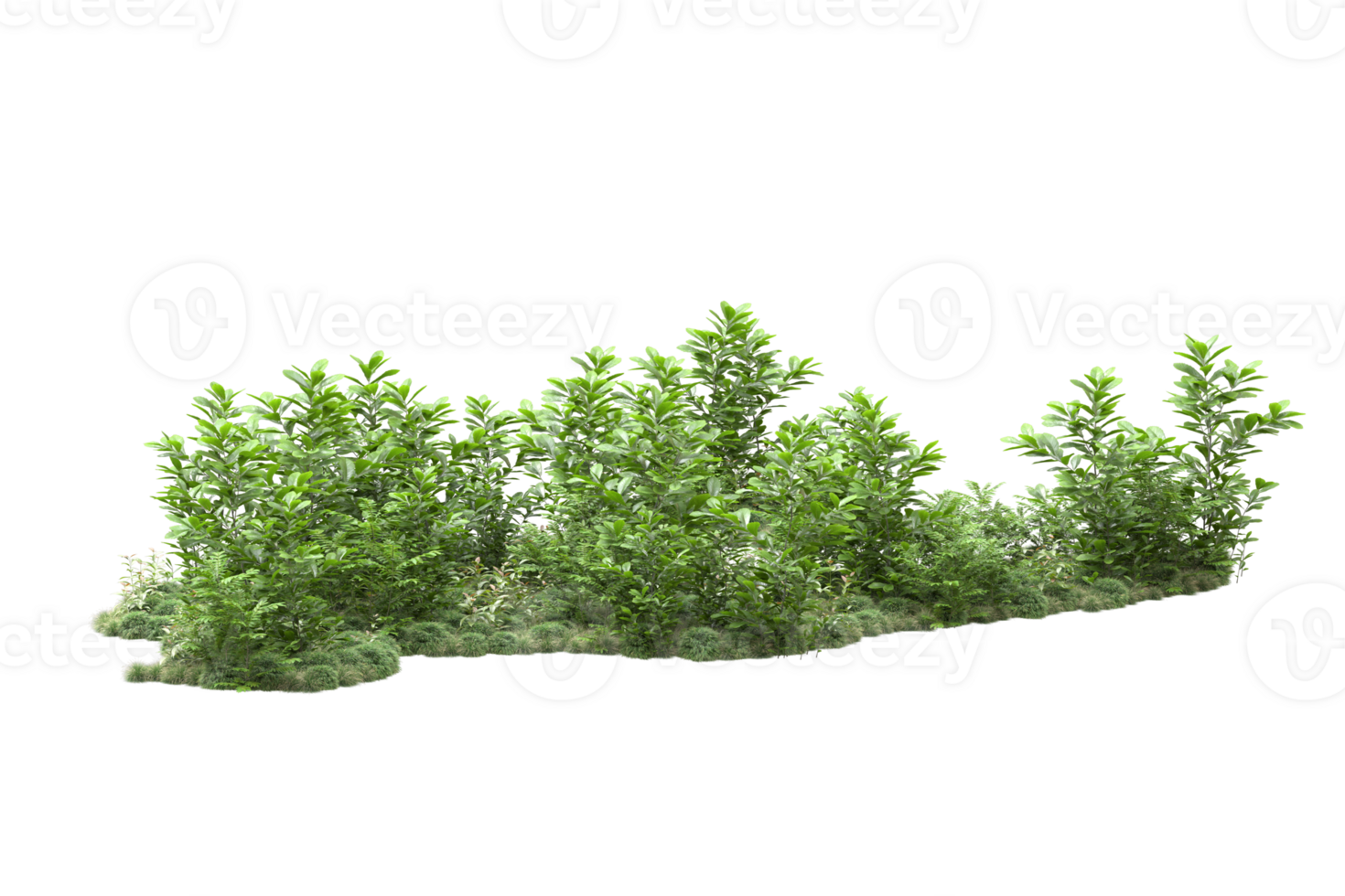 Realistic forest isolated on transparent background. 3d rendering - illustration png