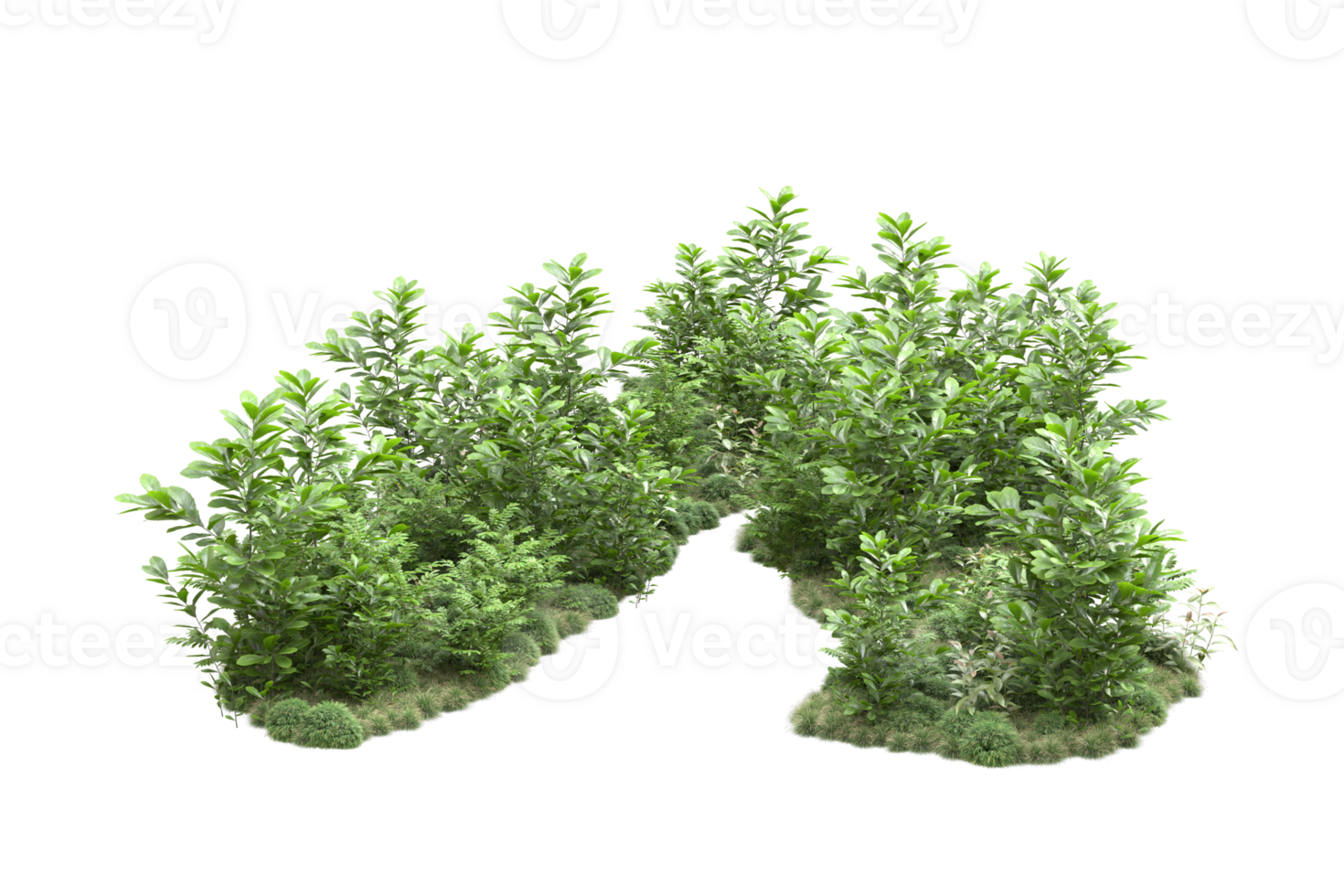 Realistic forest isolated on transparent background. 3d rendering - illustration png