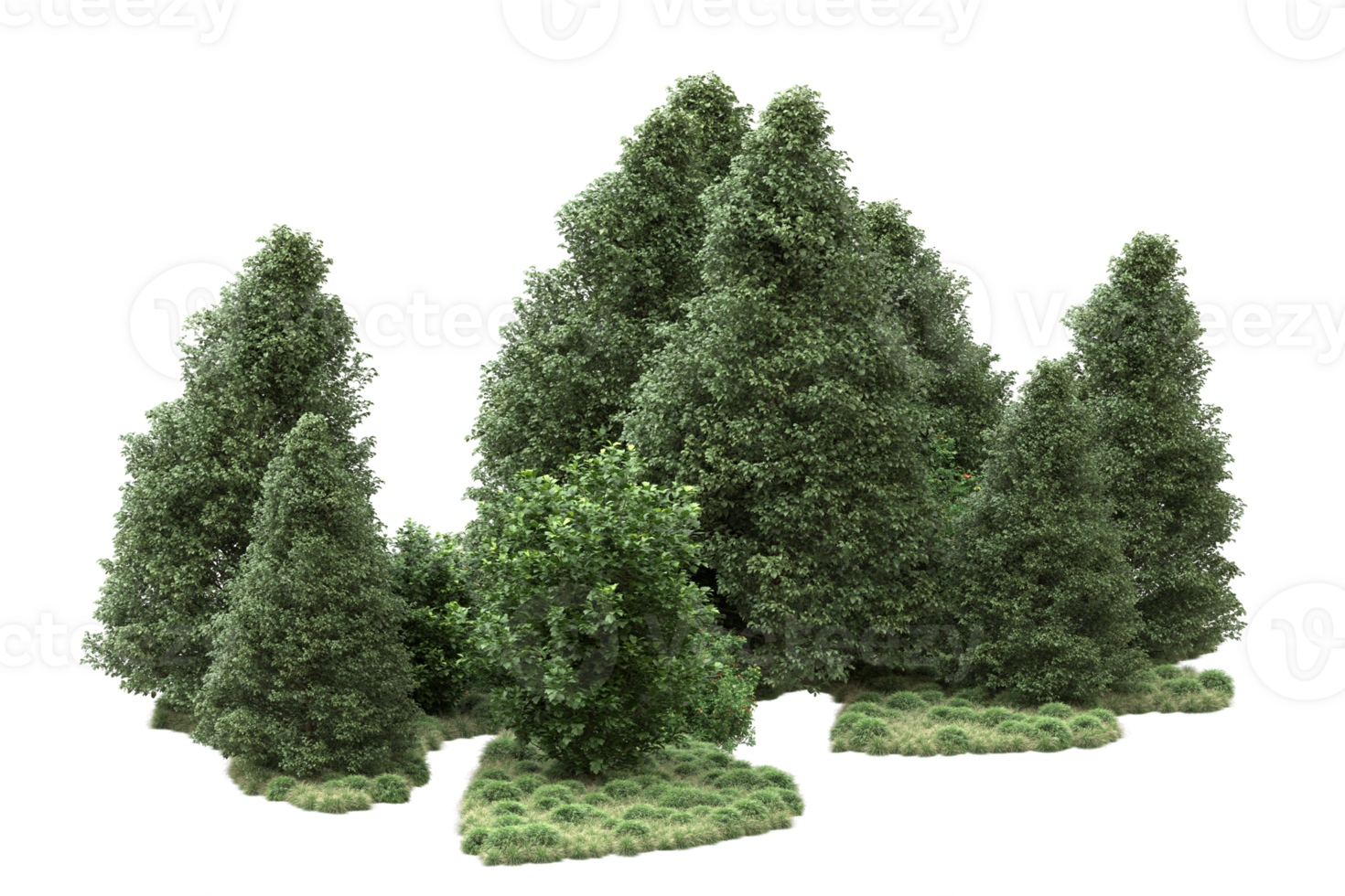 Realistic forest isolated on transparent background. 3d rendering - illustration png