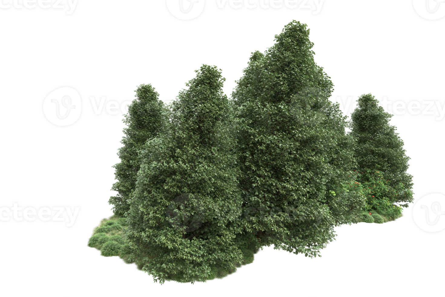 Realistic forest isolated on transparent background. 3d rendering - illustration png
