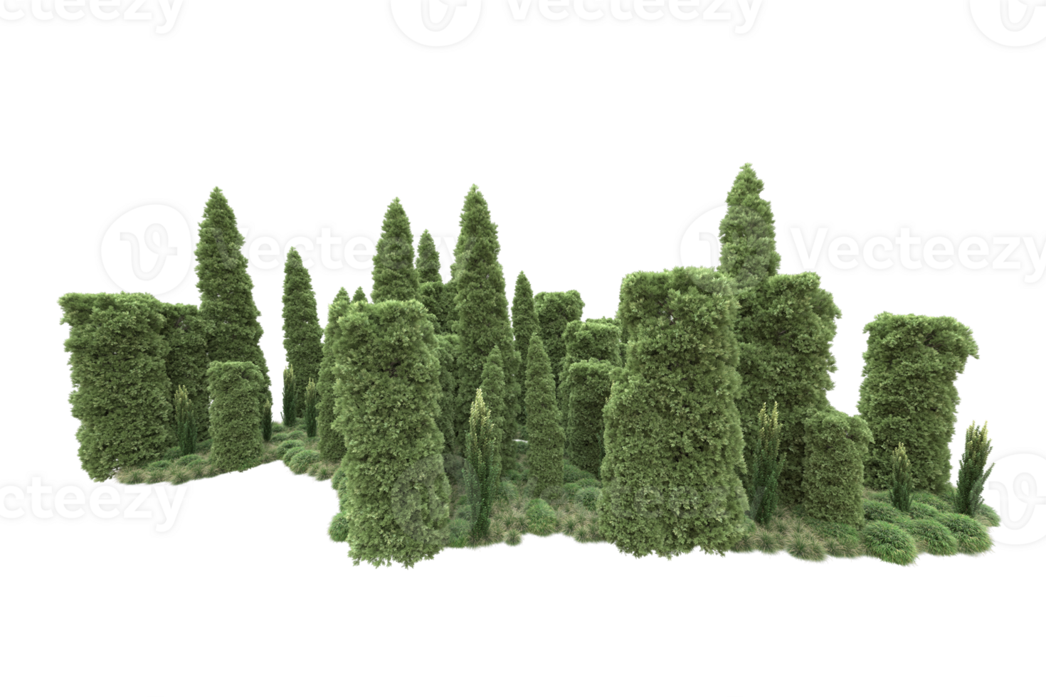Realistic forest isolated on transparent background. 3d rendering - illustration png