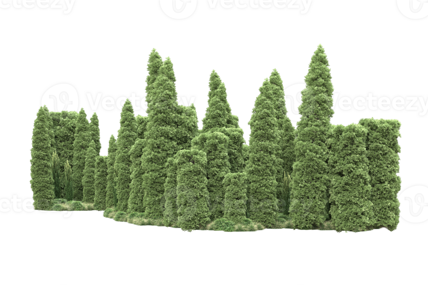 Realistic forest isolated on transparent background. 3d rendering - illustration png