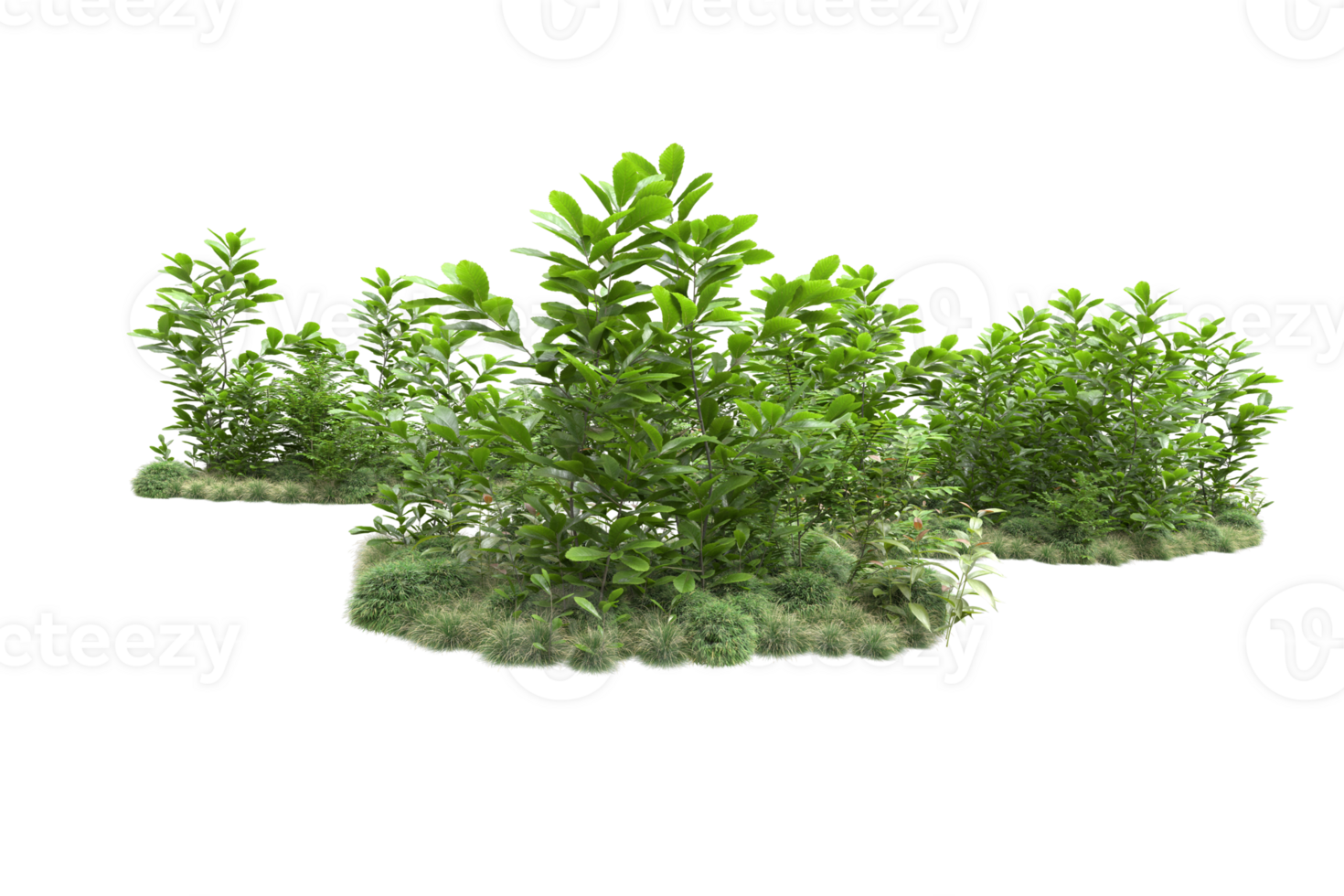 Realistic forest isolated on transparent background. 3d rendering - illustration png