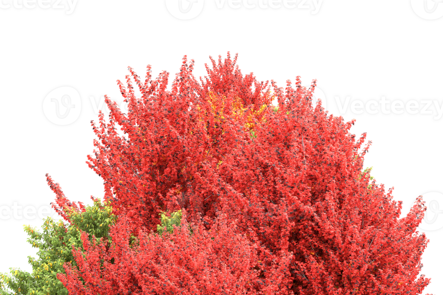 Realistic forest isolated on transparent background. 3d rendering - illustration png