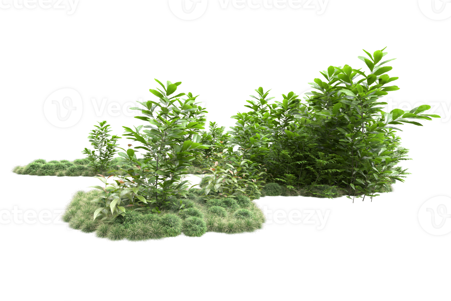 Realistic forest isolated on transparent background. 3d rendering - illustration png