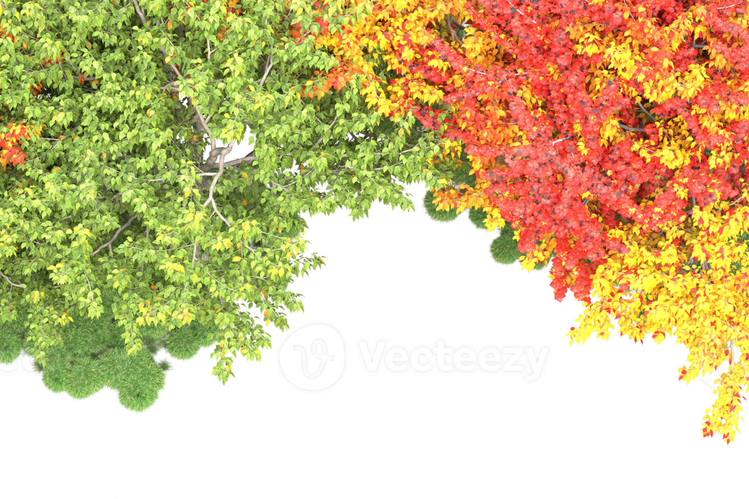 Realistic forest isolated on transparent background. 3d rendering - illustration png