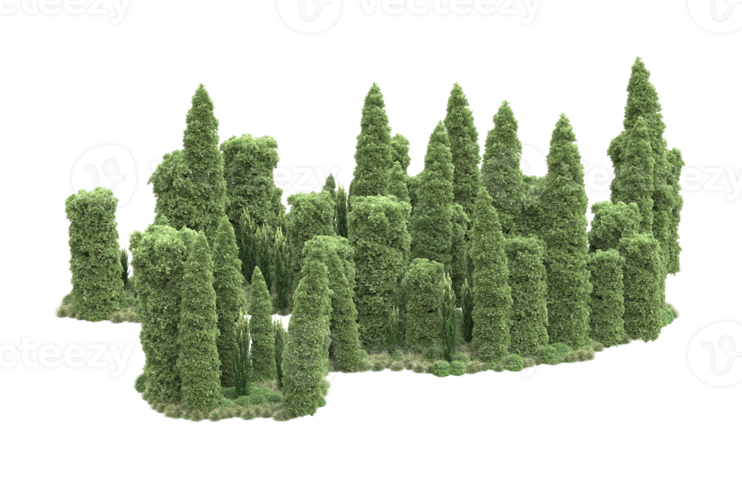 Realistic forest isolated on transparent background. 3d rendering - illustration png