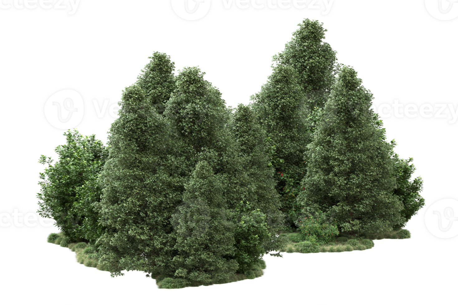 Realistic forest isolated on transparent background. 3d rendering - illustration png