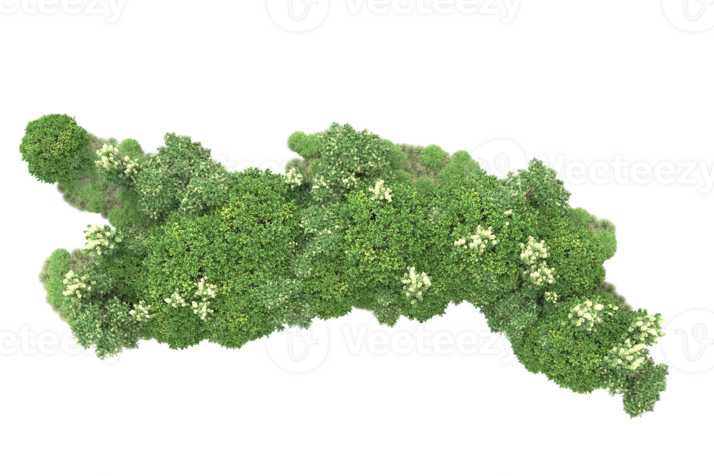 Realistic forest isolated on transparent background. 3d rendering - illustration png