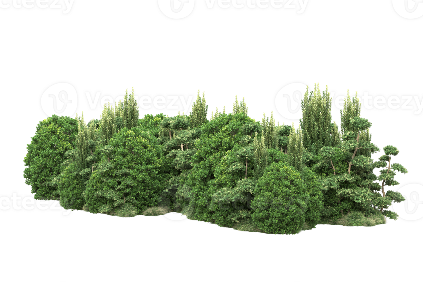 Realistic forest isolated on transparent background. 3d rendering - illustration png